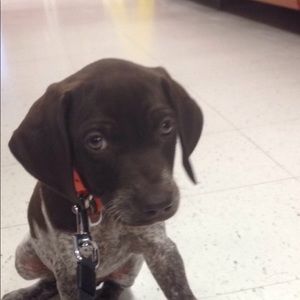 Meet your Posher, Ramona